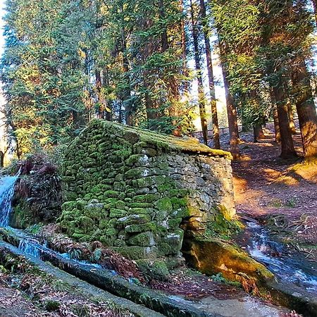 Matos Casas De Campo カベセイラス・デ・バスト エクステリア 写真